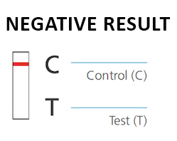 Negative test result example