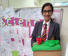 Year 7 cell work
